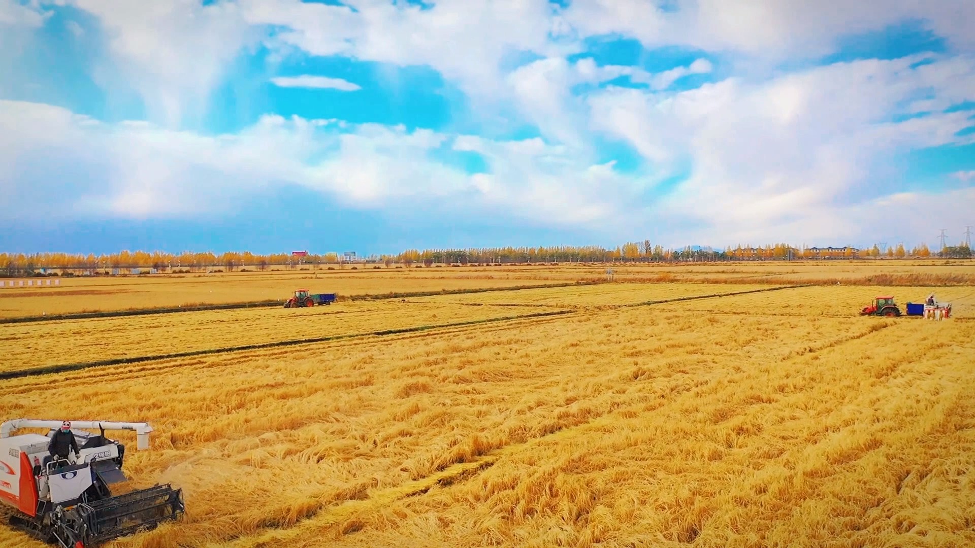 網易提供 - frame at 0m10s.jpg